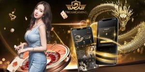 DG-casino-rong-ho